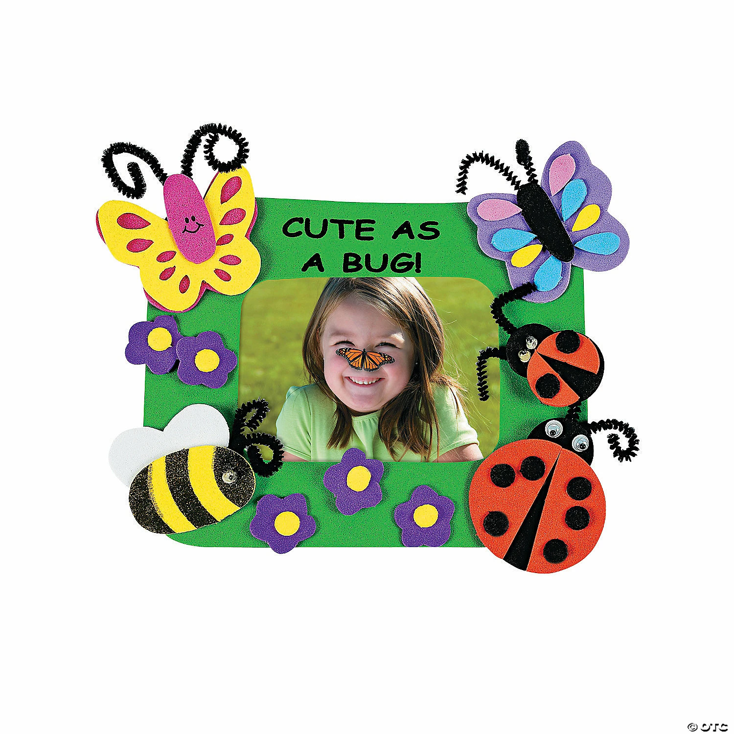 Cheapest 😍 Cute As a Bug Picture Frame Magnet Craft Kit - Makes 12 👍