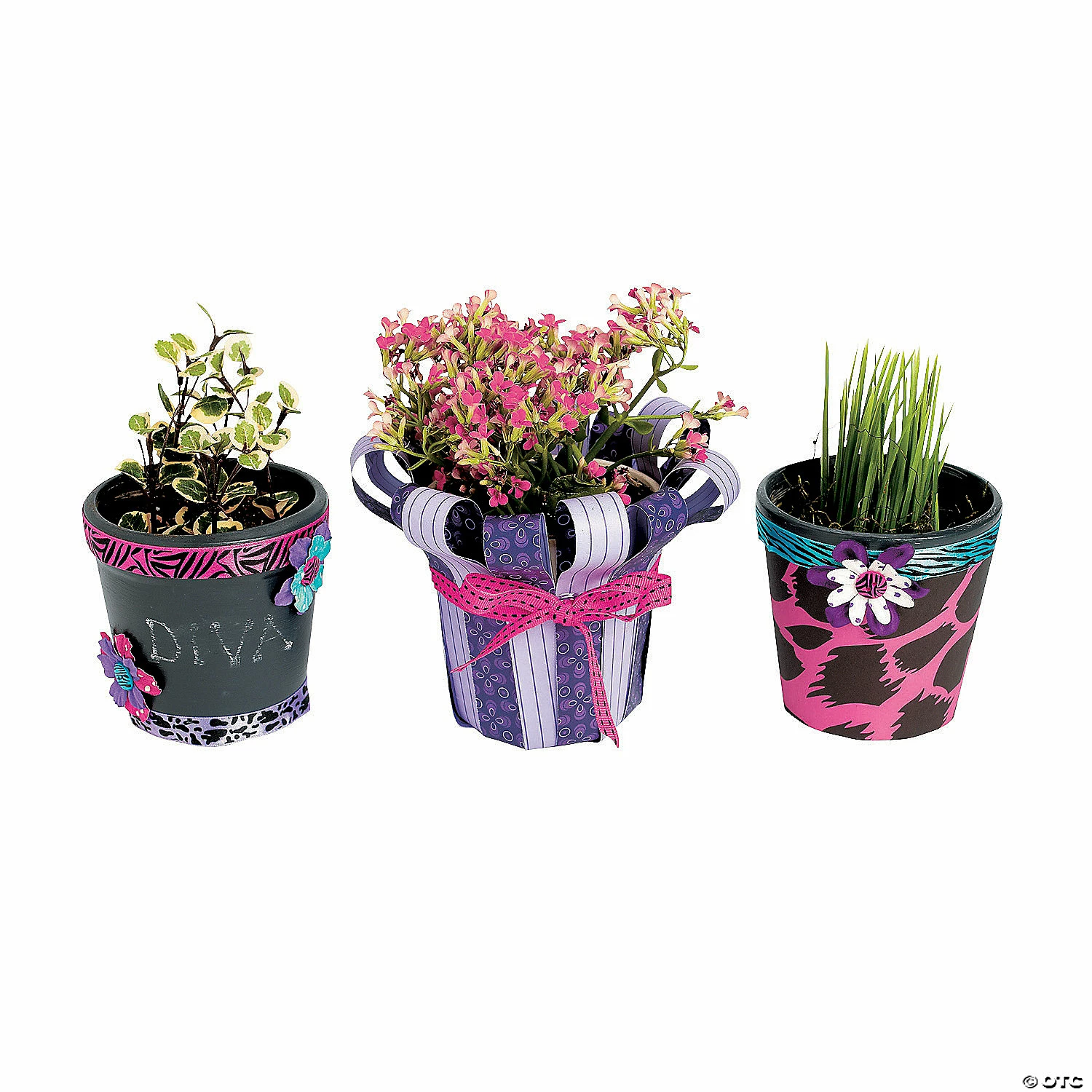 New 🎁 DIY Ceramic Flowerpots - 12 Pc. 🎉 4 New 🎁 DIY Ceramic Flowerpots - 12 Pc. 🎉 - Image 4