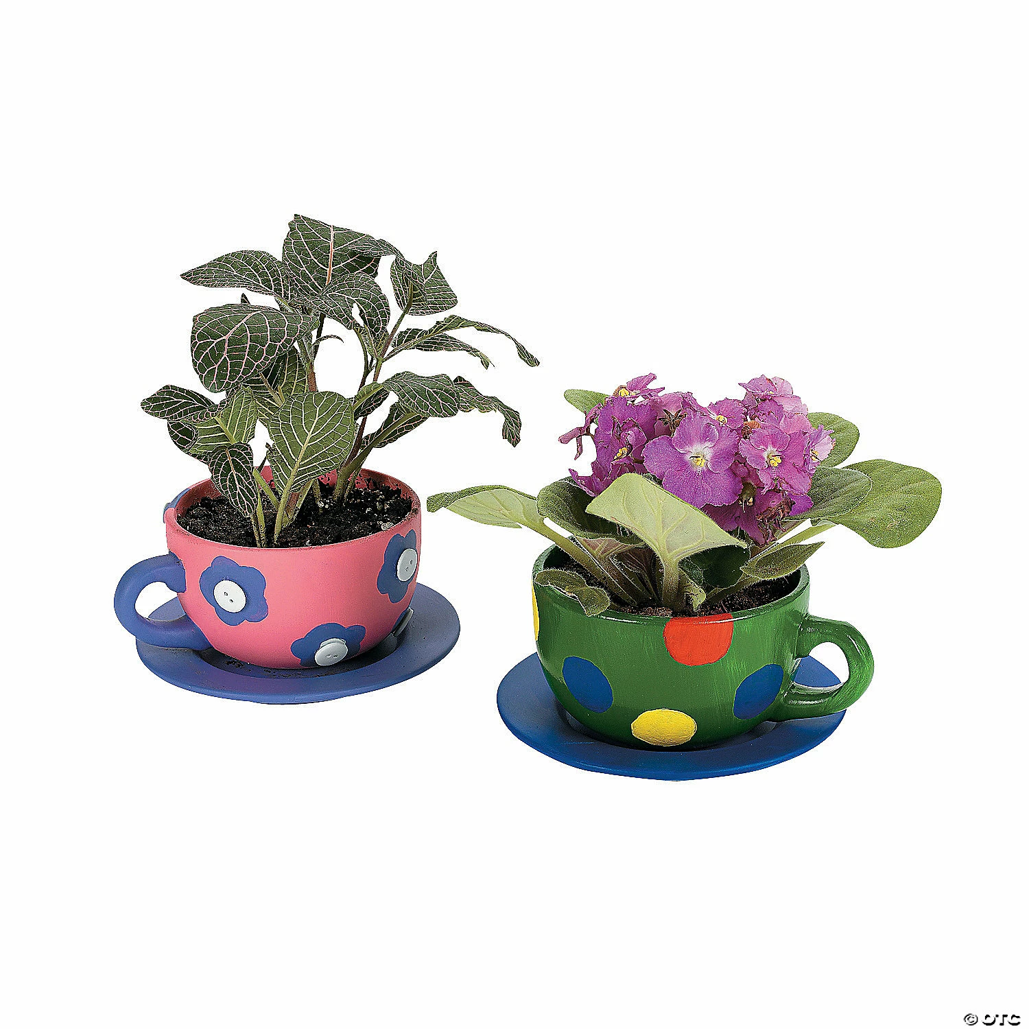 Best reviews of ✔️ DIY Ceramic Tea Cup Planters - 6 Pc. 👍 2 Best reviews of ✔️ DIY Ceramic Tea Cup Planters - 6 Pc. 👍 - Image 2