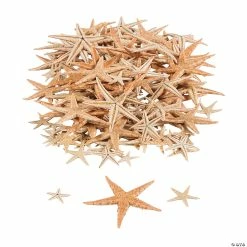 Best Pirce ⌛ Mini Natural Sugar Starfish - 500 Pc. 👍