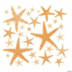 Discount 💯 Natural Starfish Assortment - 30 Pc. 🥰